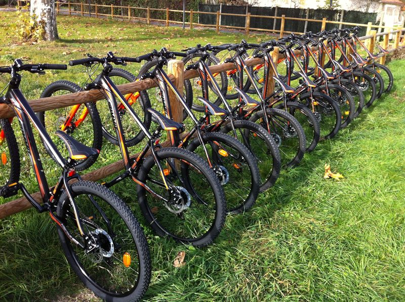 Pro Sports 24 - photo 3