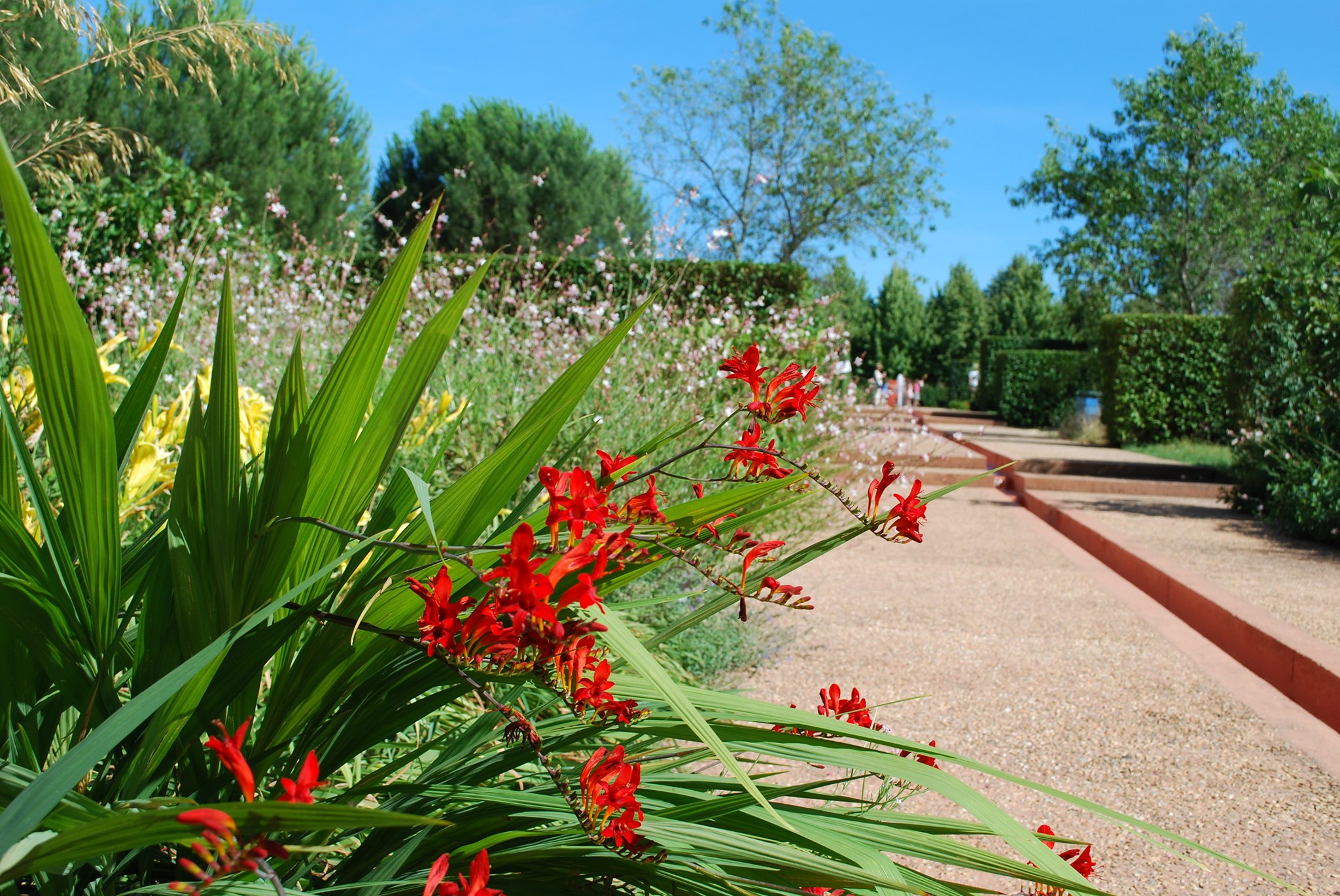 Les Jardins de Colette et son labyrinthe, Varetz - photo 5