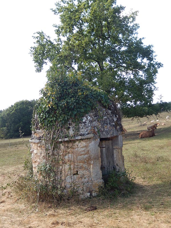 Boucle des Coteaux - Lanquais