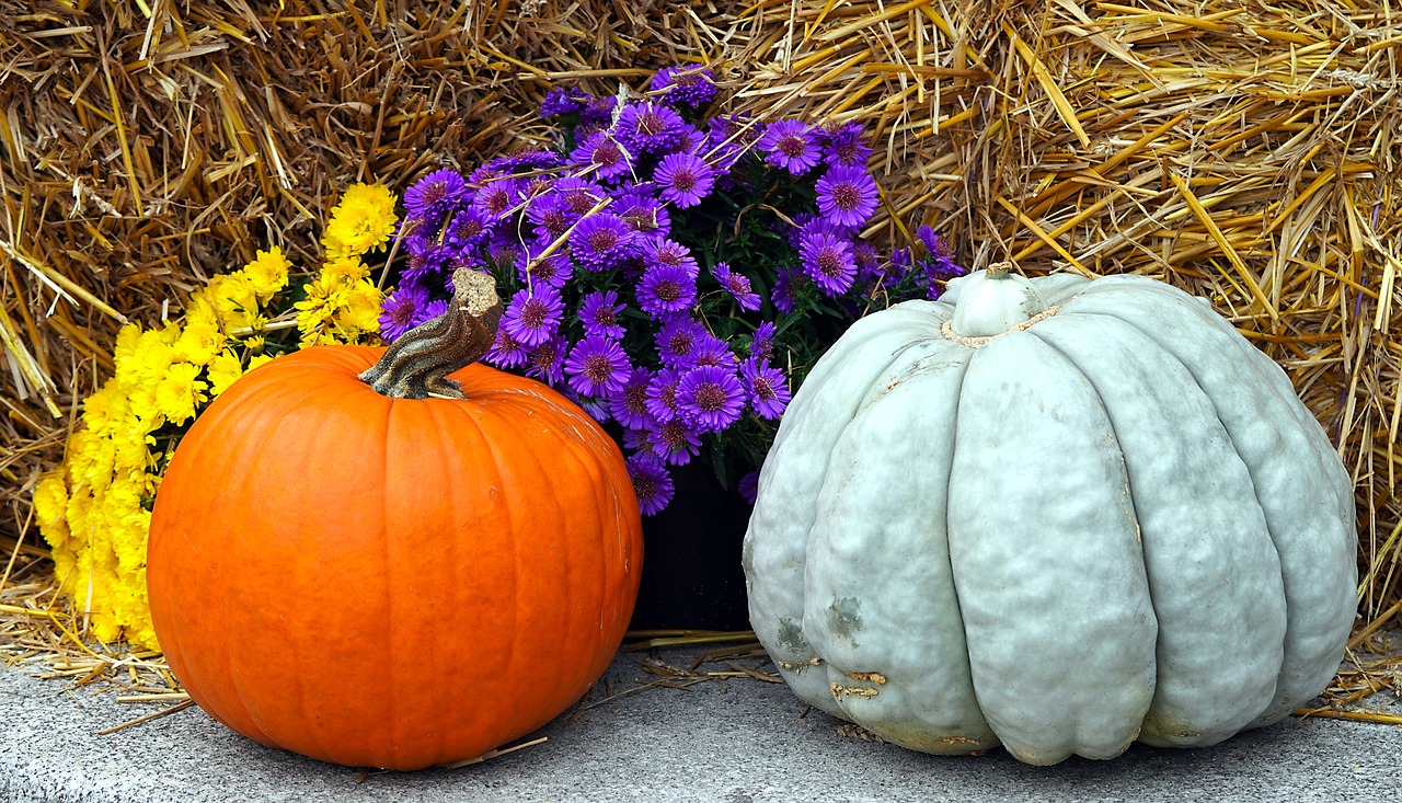 Fête de l'automne, Saint-Germain-Beaupré - photo 2