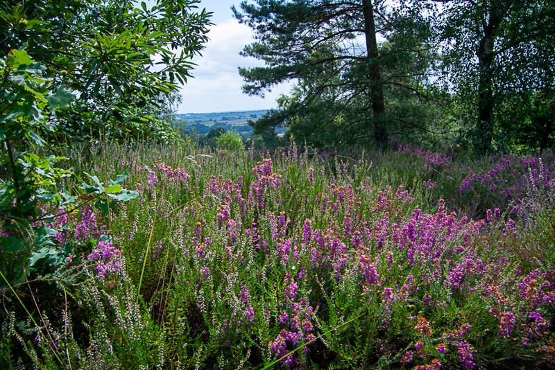Le Puy des Ages - photo 4