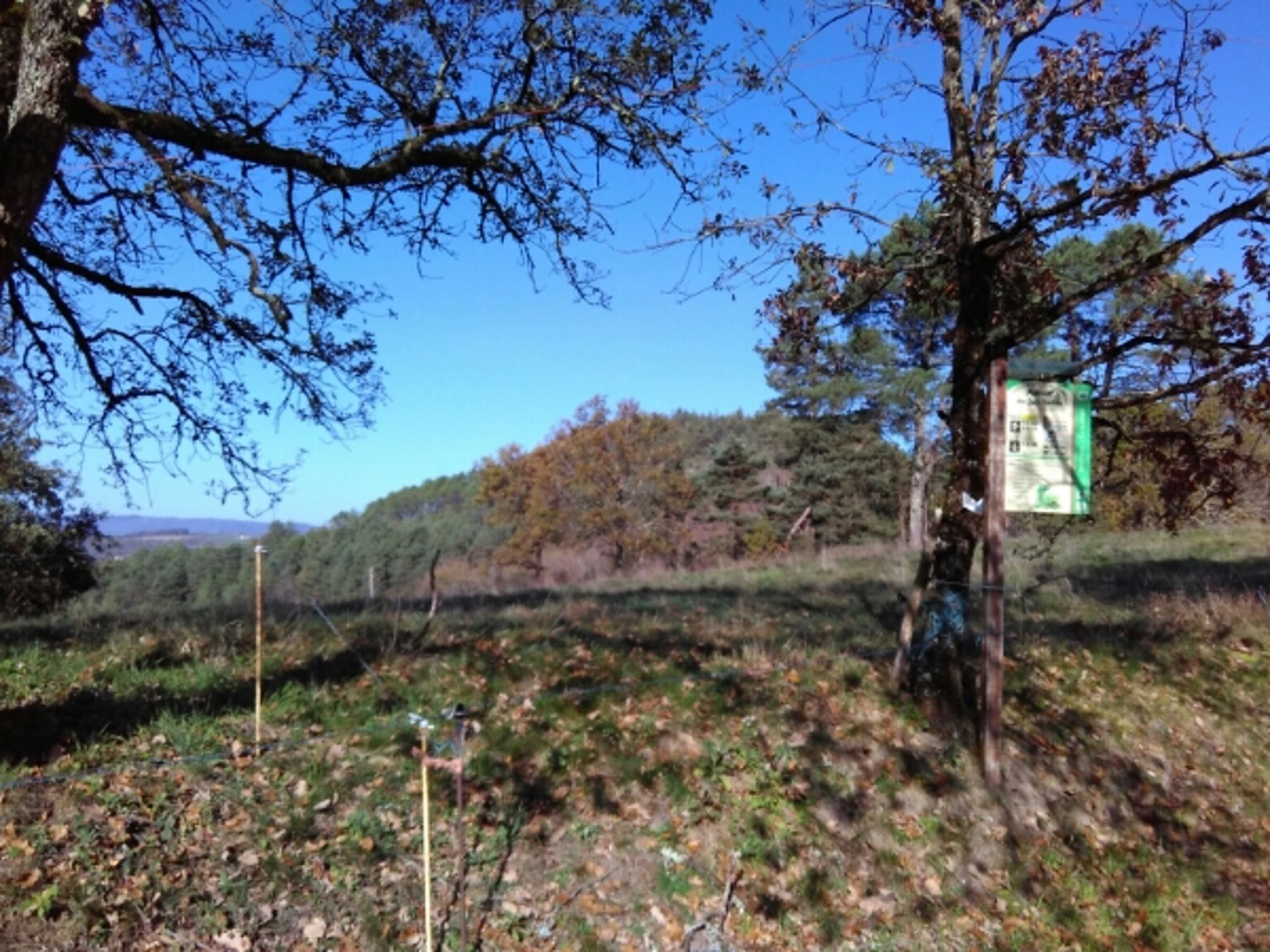 Autour du Puy Turlau — photo 2