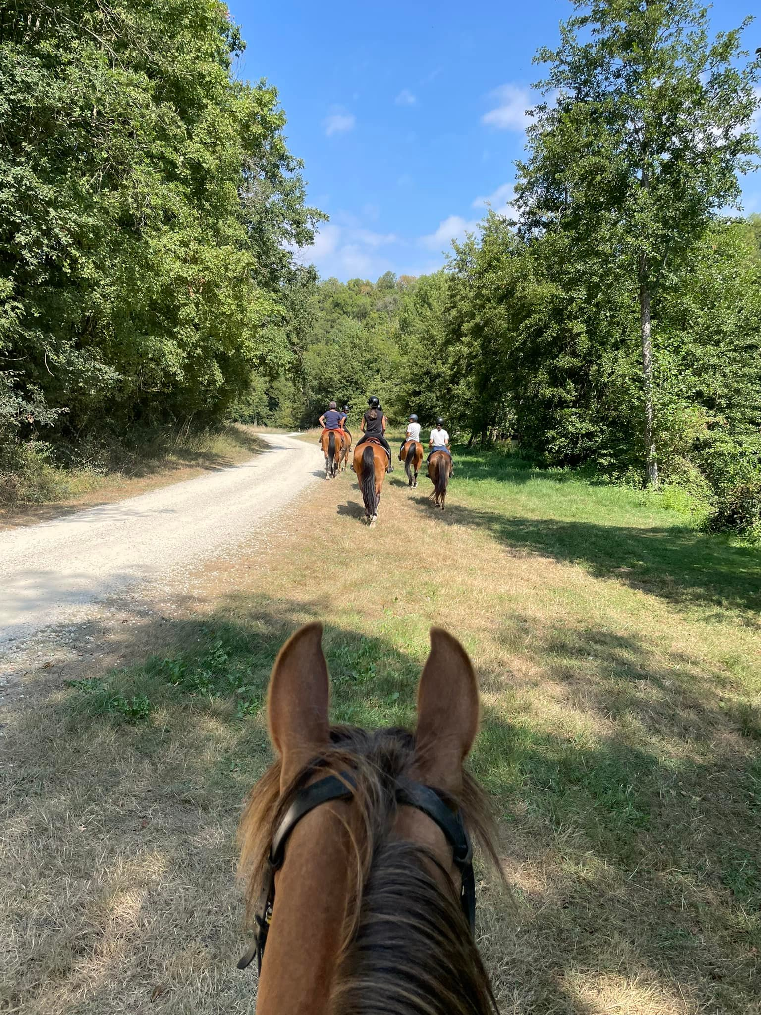 Centre Equestre de Beausoleil - photo 2