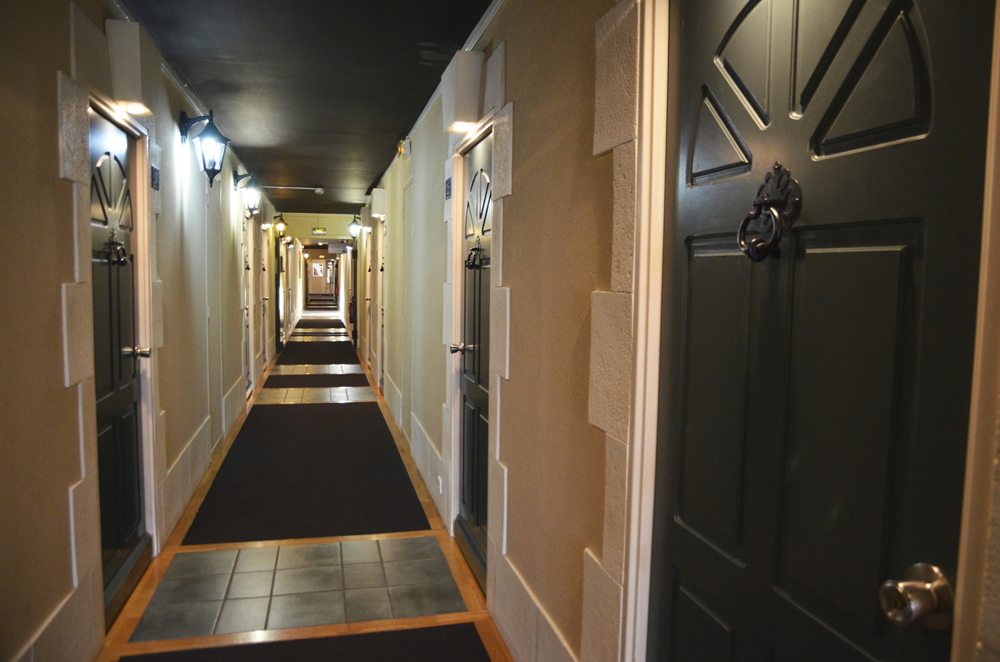 Hôtel Akena Poitiers Futuroscope - photo 5