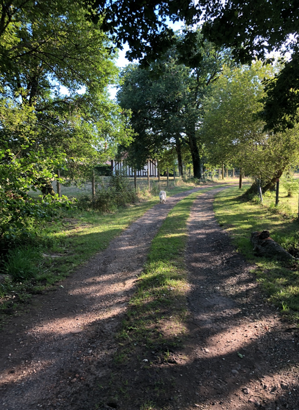 MAISON CAUSETTE, Pissos