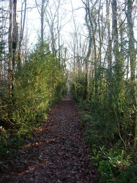 Chemin des orchidées - Queyssac, Queyssac - photo 3