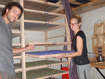 EARL Hapozeme - photo 3