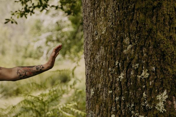 Bain de forêt Quiétude et Nature — visuel événement