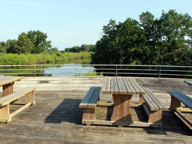 Gîte de la Maison de la Nature, Le Teich - photo 11