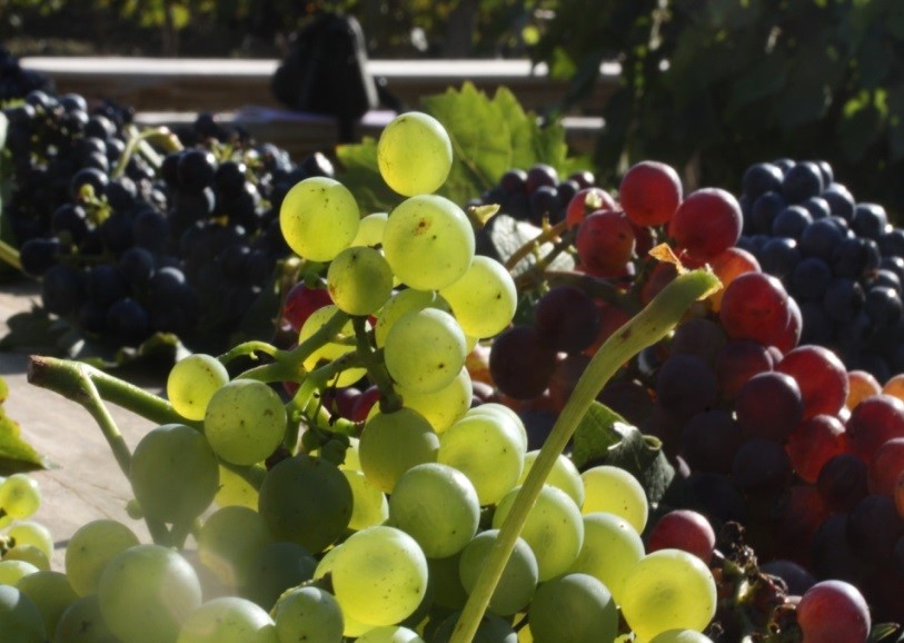 Forteresse de Berrie - photo 2