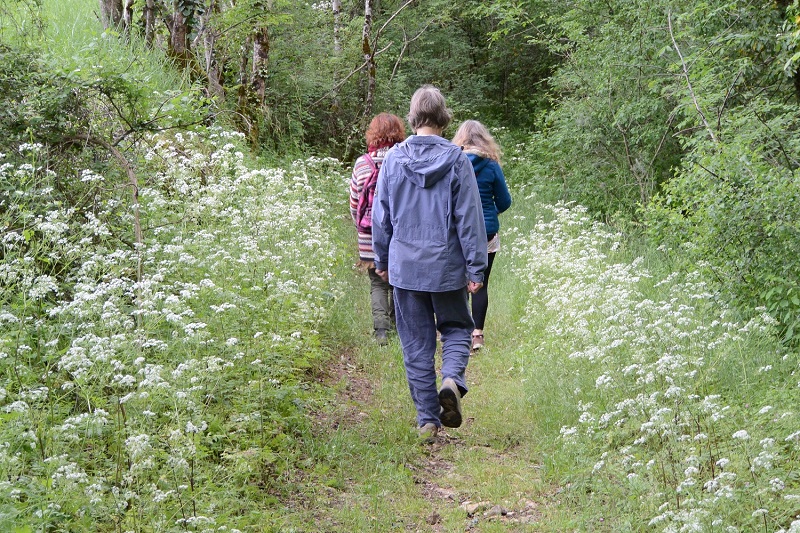 Randonnée à SAVIGNAC-LEDRIER organisée par Les Pieds dans l’herbe.