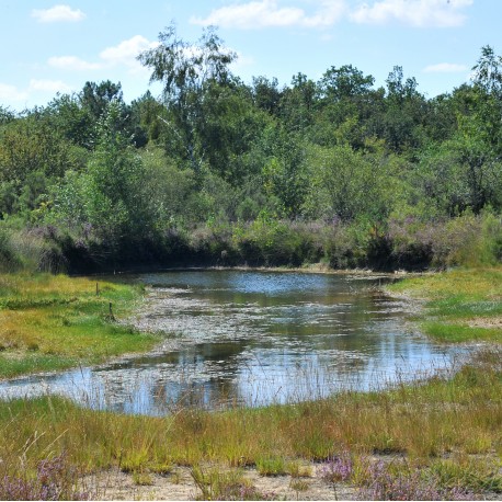 Boussais - Espace Naturel Sensible - Les communaux de l'Hôpiteau