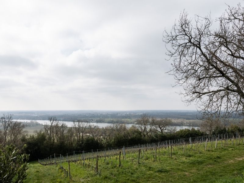 Boucle Cambes/ Baurech/ Saint-Caprais de Bordeaux