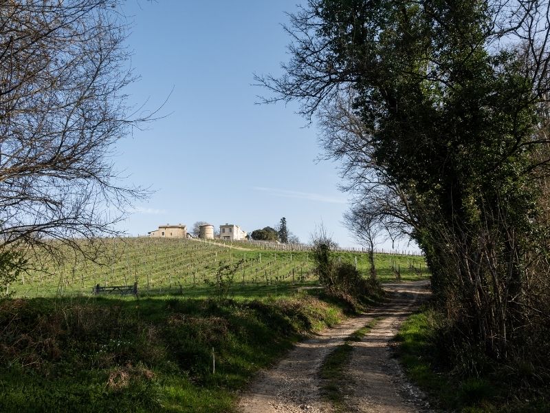 Boucle Cambes/ Baurech/ Saint-Caprais de Bordeaux, Cambes - photo 5