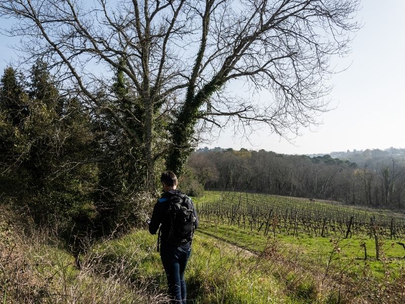 Boucle Cambes/ Baurech/ Saint-Caprais de Bordeaux, Cambes - photo 7