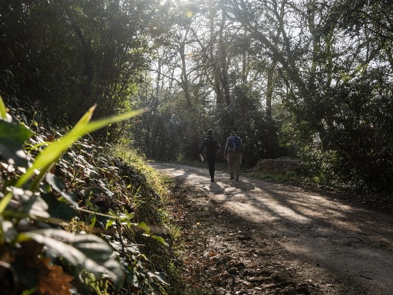 Boucle Cambes/ Baurech/ Saint-Caprais de Bordeaux, Cambes - photo 3