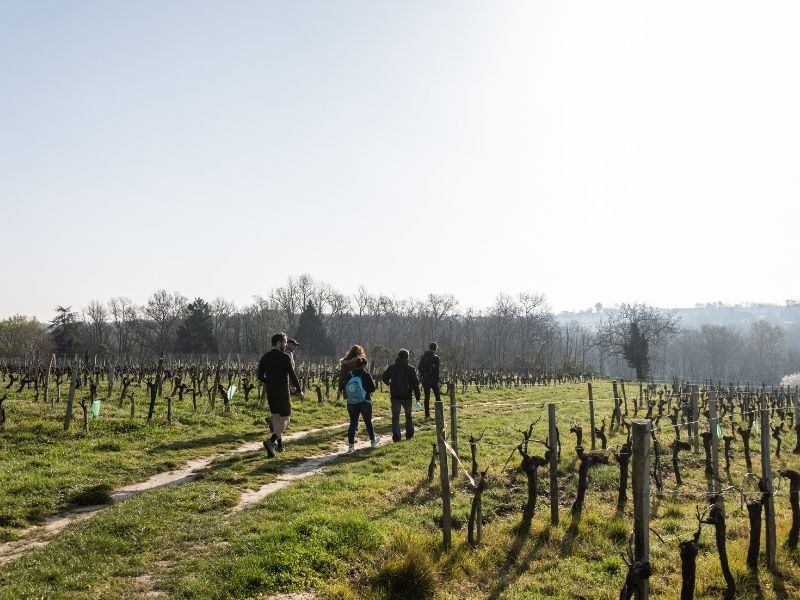Boucle Cambes/ Baurech/ Saint-Caprais de Bordeaux - photo 4