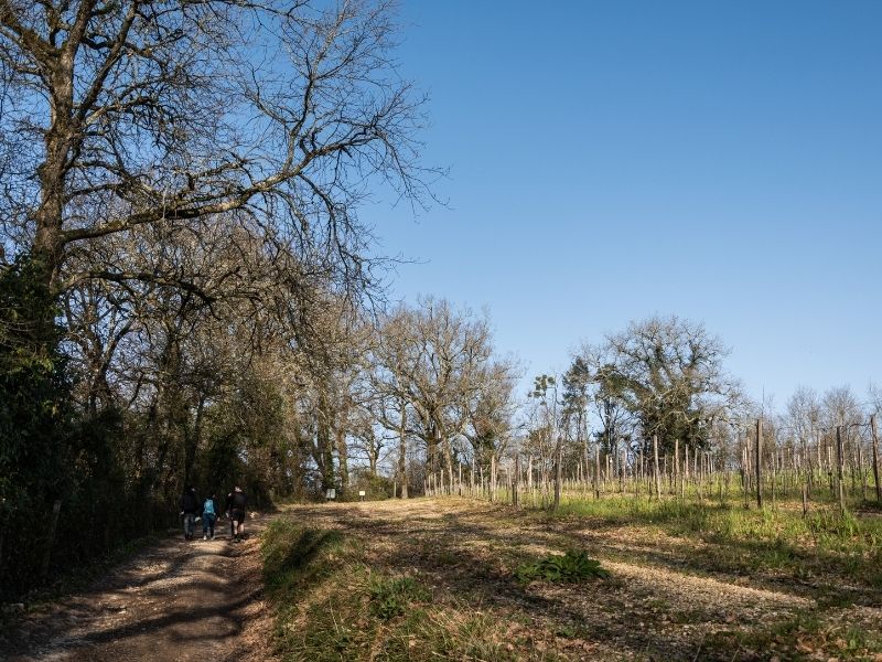 Boucle Cambes/ Baurech/ Saint-Caprais de Bordeaux, Cambes - photo 8