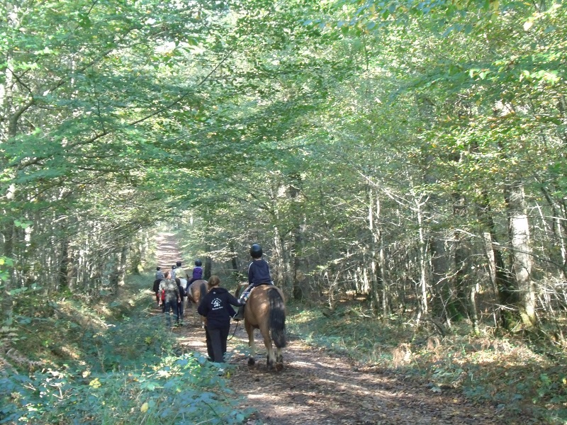 Office de Tourisme Naturellement Périgord — photo 2