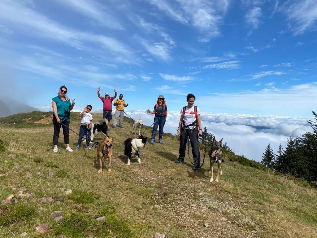 Randonner avec un chien nordique à La Pierre Saint-Martin — visuel événement
