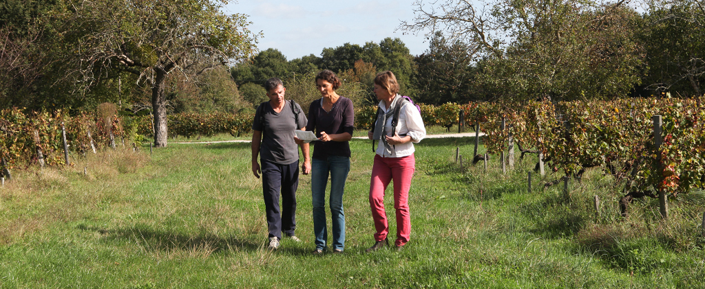 Rando et Dégustations