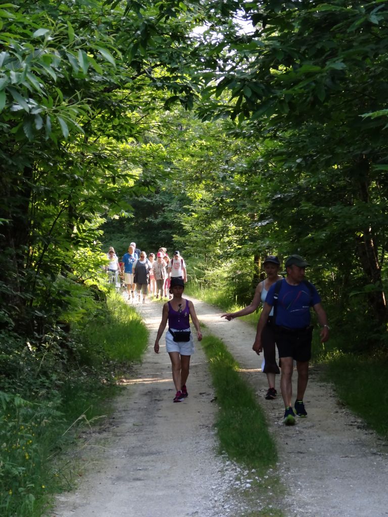 Randonnée gourmande La Crépusculinaire, Douzillac - photo 4
