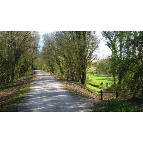 Melle- La Métairie-aux-Moines