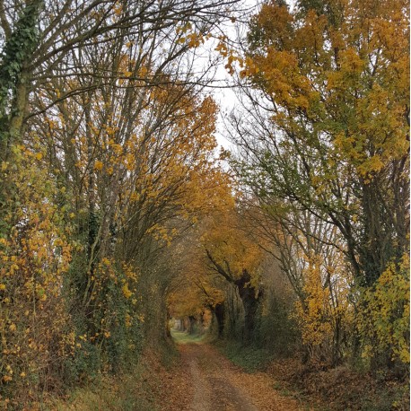ENS - Prairies de Lezay
