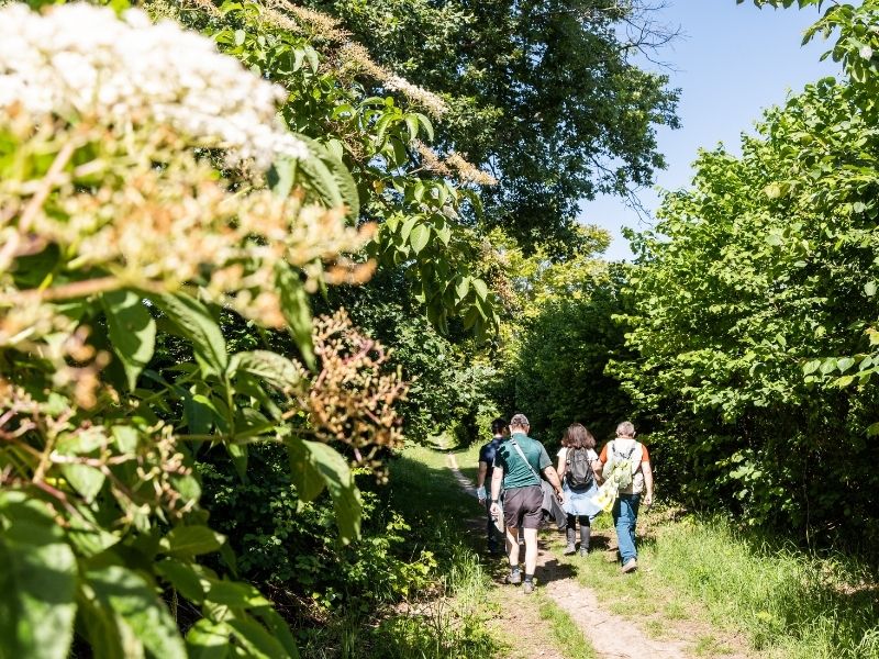Boucle Latresne/ Cénac/ Camblanes et Meynac - photo 2