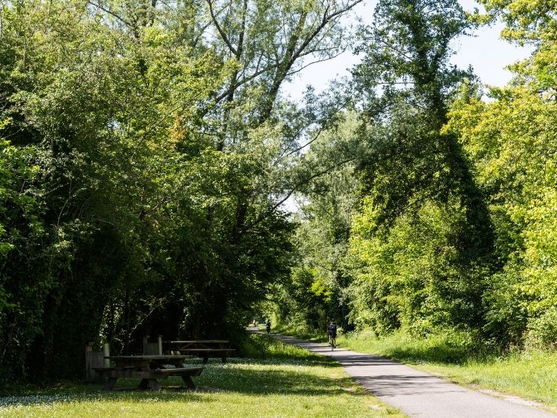Boucle Lignan-de-Bordeaux/ Cénac, Lignan-de-Bordeaux - photo 16