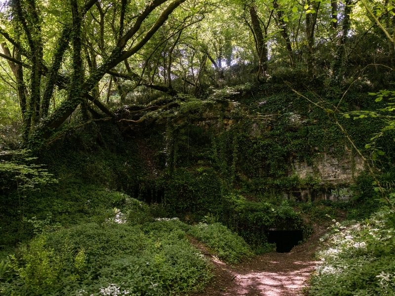 Boucle Lignan-de-Bordeaux/ Cénac, Lignan-de-Bordeaux - photo 13