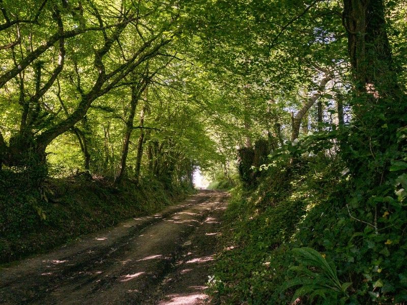 Boucle Lignan-de-Bordeaux/ Cénac - photo 4