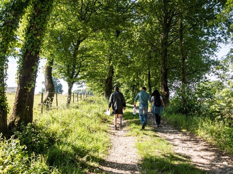 Boucle Lignan-de-Bordeaux/ Cénac, Lignan-de-Bordeaux - photo 8