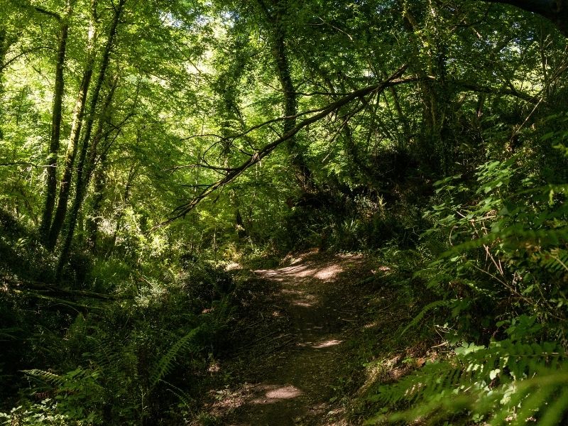 Boucle Lignan-de-Bordeaux/ Cénac