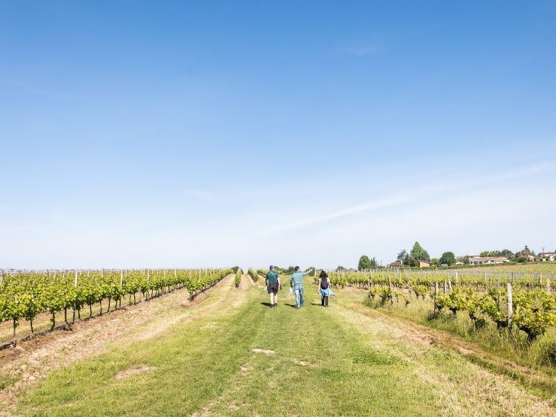 Boucle Lignan-de-Bordeaux/ Cénac, Lignan-de-Bordeaux - photo 18