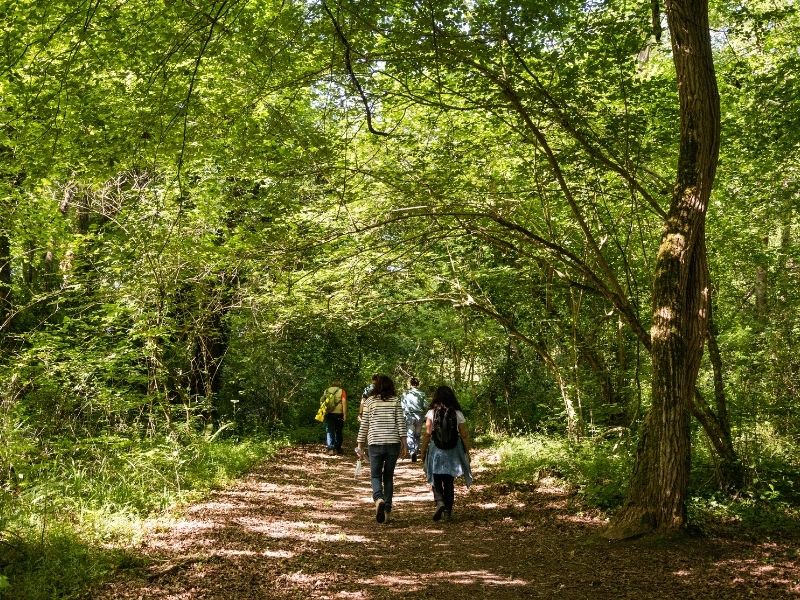 Boucle Lignan-de-Bordeaux/ Cénac, Lignan-de-Bordeaux - photo 3