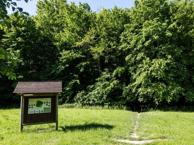 Boucle Lignan-de-Bordeaux/ Cénac, Lignan-de-Bordeaux - photo 19