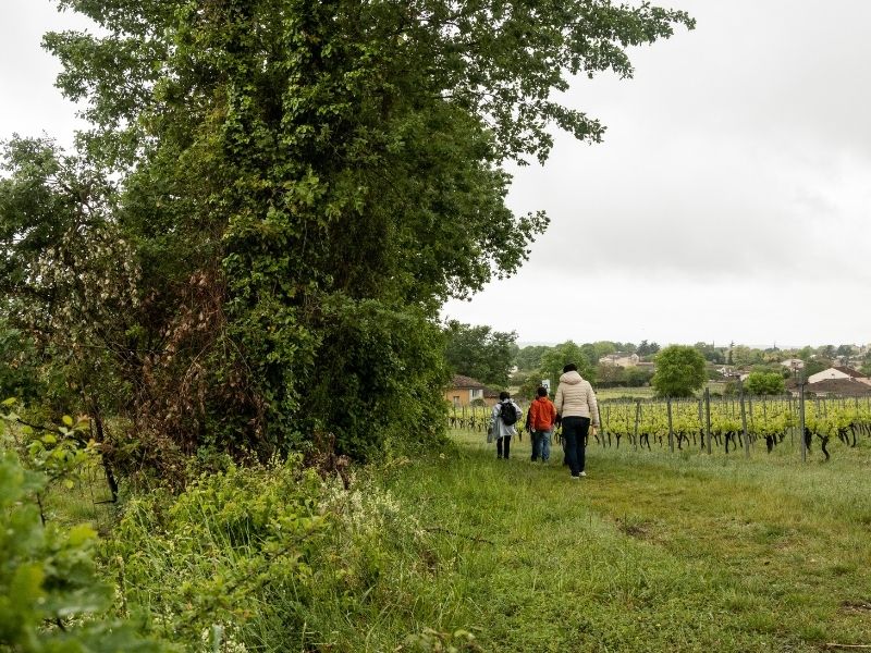 Boucle Camblanes-et-Meynac/ Quinsac - photo 2
