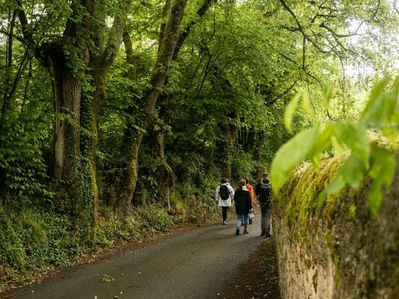 Boucle Meynac/ Quinsac - photo 5