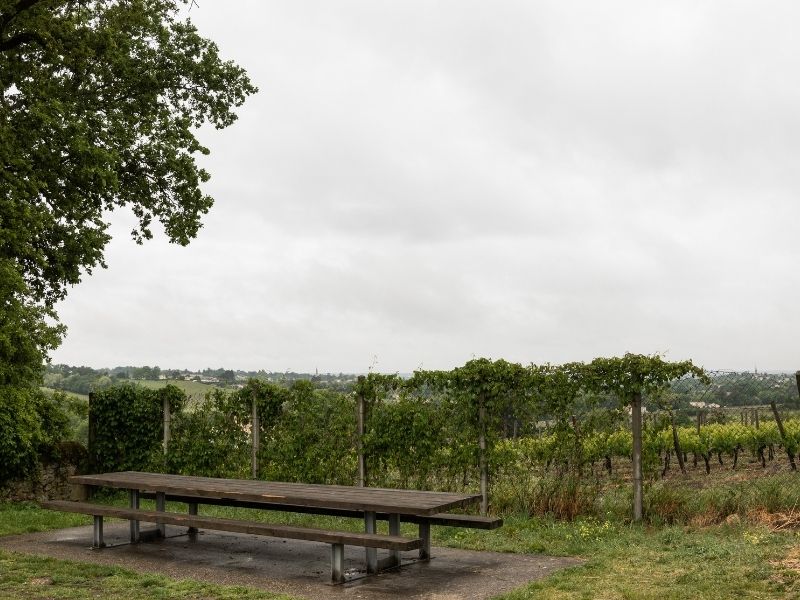 Boucle Meynac/ Quinsac - photo 4