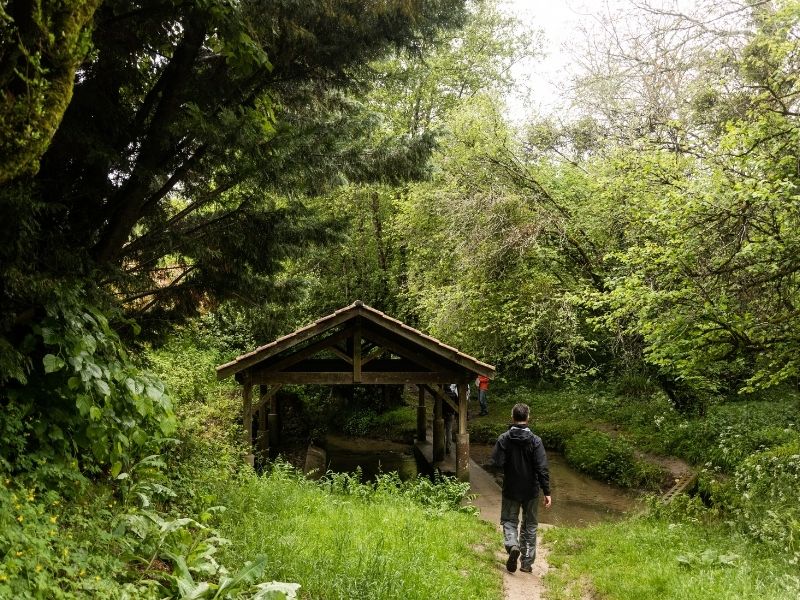 Boucle Camblanes-et-Meynac/ Quinsac - photo 3