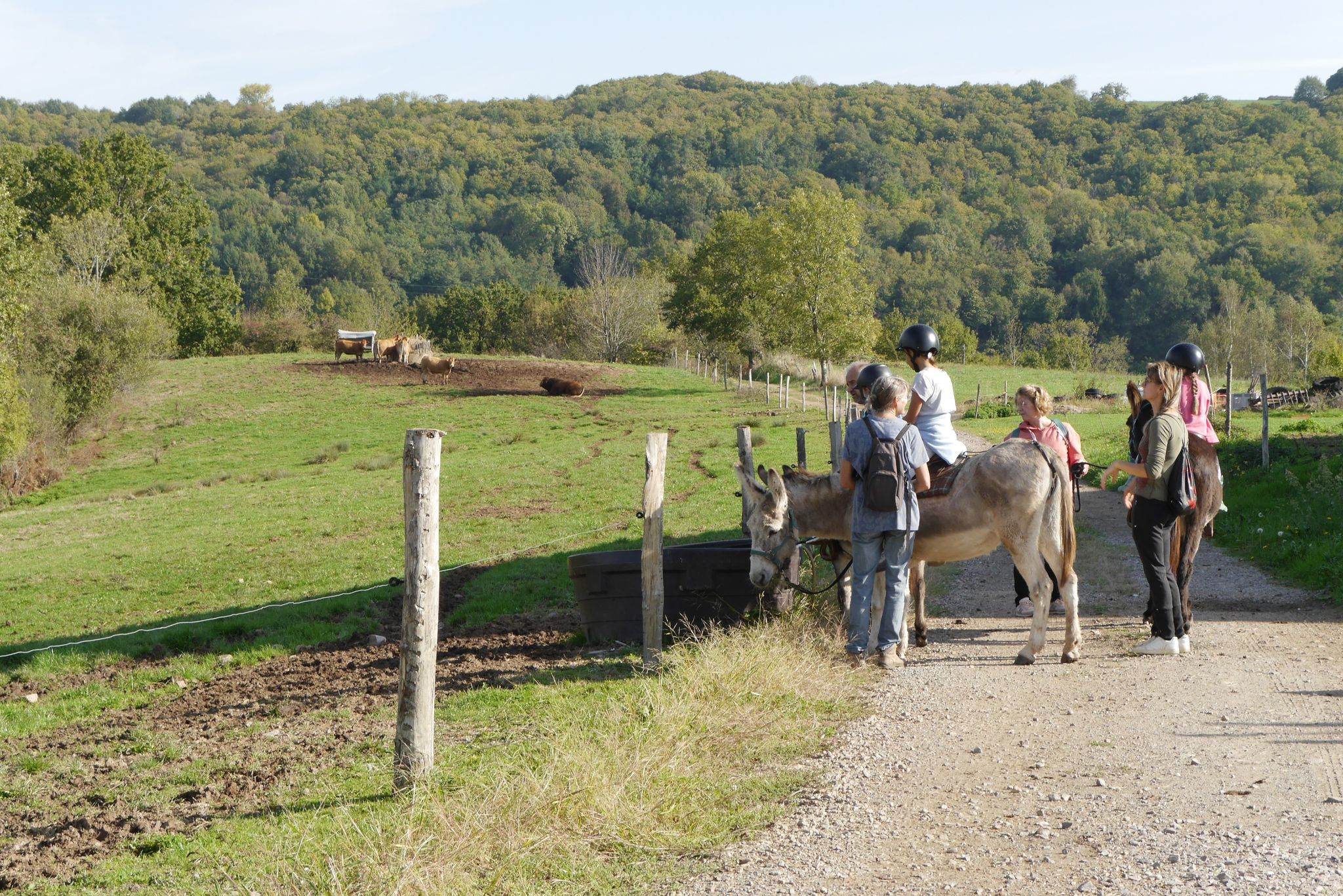 Histoires d' Ânes - photo 3