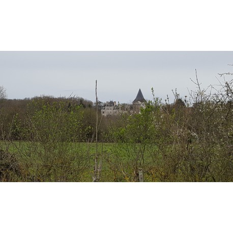 Paizay-Le-Tort - Le Circuit des Quatre Sources, Melle - photo 4