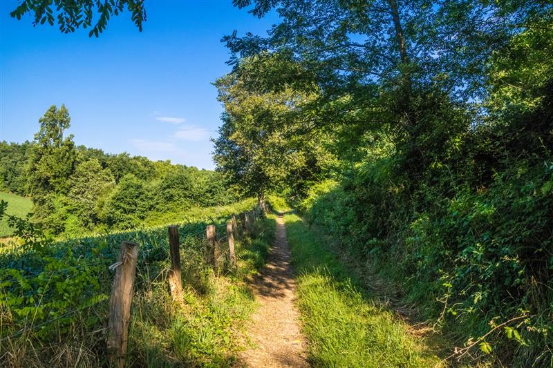 Beyrie-en-Béarn - Promenade autour de Beyrie