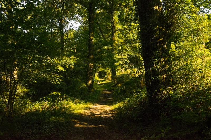 Beyrie-en-Béarn - Promenade autour de Beyrie
