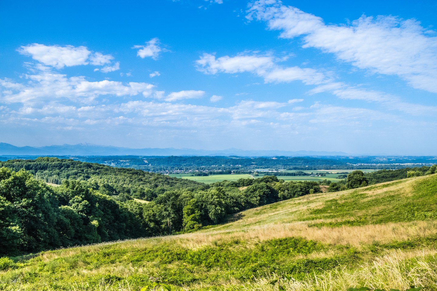 Beyrie-en-Béarn - Promenade autour de Beyrie - photo 2