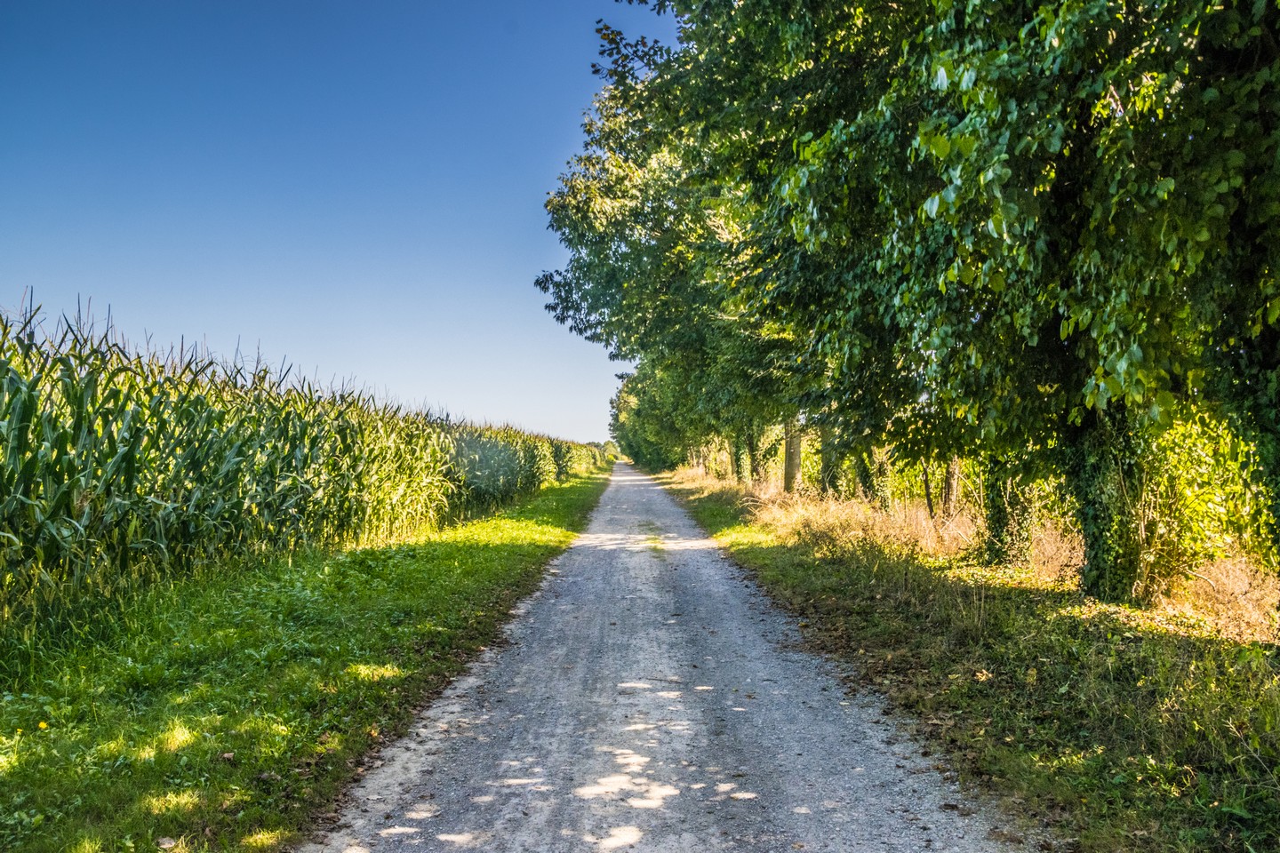 Lée - En passant par le Chemin Henri IV