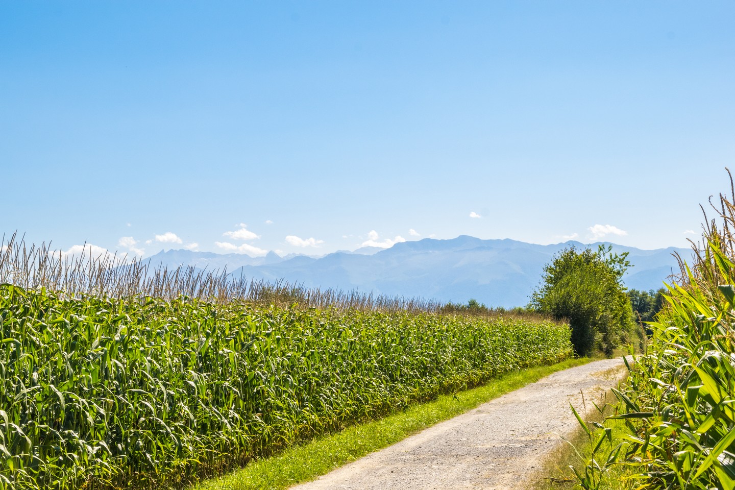 Lée - En passant par le Chemin Henri IV, Lée - photo 5