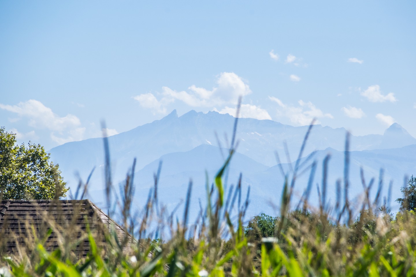 Lée - En passant par le Chemin Henri IV, Lée - photo 3