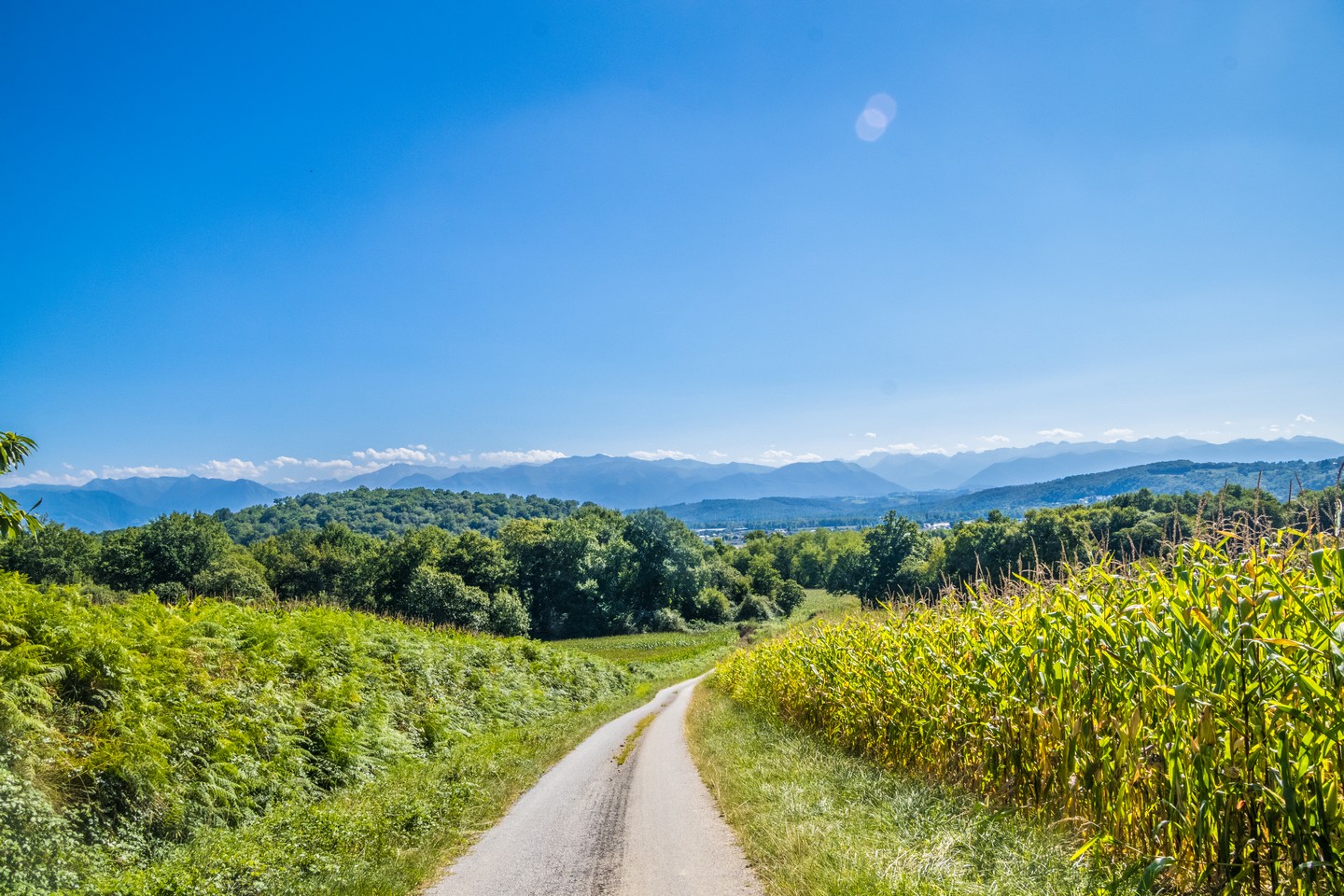 Lée - En passant par le Chemin Henri IV, Lée - photo 2